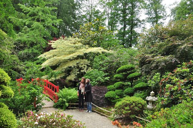 Botanical garden of Upper Brittany